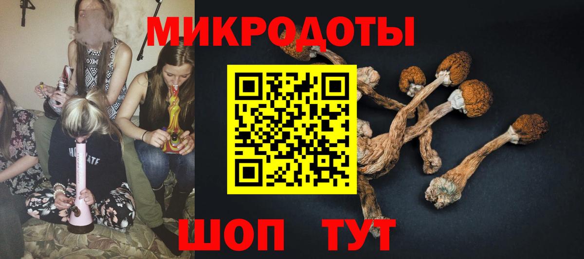 Галлюциногенные грибы GOLDEN TEACHER Мичуринск